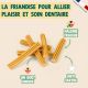 Stick Dentaires Chien