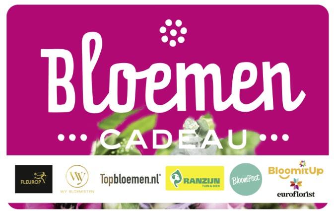 Image produit 5JU0S3ILZAUY