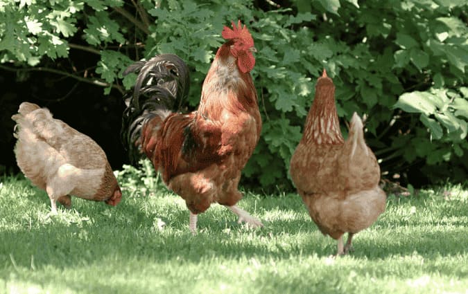 Image produit U2IWK61YP35K